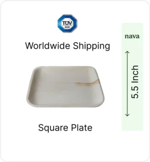 5.5 inch Areca Palm Leaf Square Plate